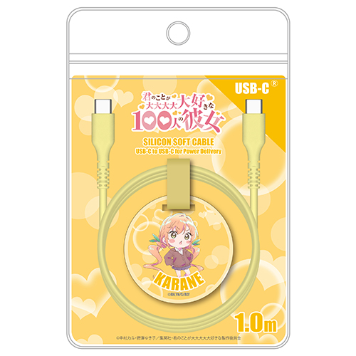 100カノ C to C ケーブル 1.0m 院田唐音　